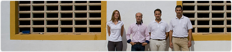 Human Team